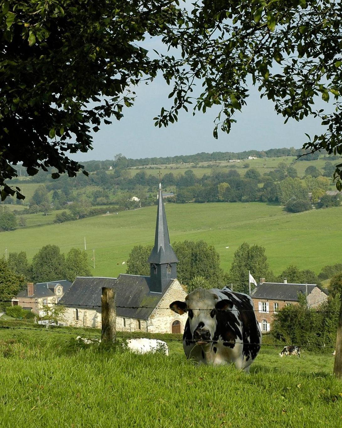 Gite "L'Annexe Du Parc" Tout Compris Vimoutiers Zewnętrze zdjęcie
